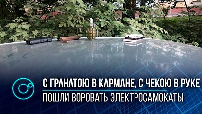 Хотели бессрочную аренду: задержаны воры электросамокатов в Новосибирске