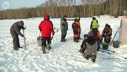 Соревнования по ловле на блесну со льда провели в Новосибирске