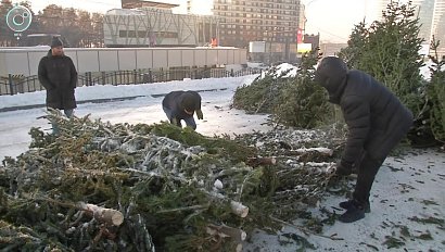 НОВОСТИ 20-30: 10 декабря 2018