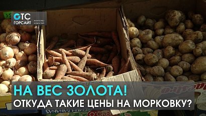 Дороже доллара и евро: почему морковь продают по заоблачной цене?