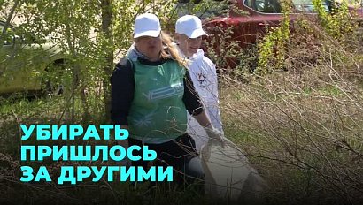 180 новосибирцев вышли на уборку берега Оби