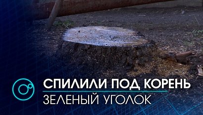 Почему исчез зеленый уголок на улице Никитина и кого в этом винят жильцы?