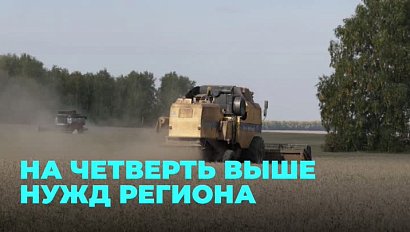 Аграрии превысят план по уборке зерновых