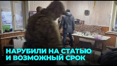 История о «чёрных лесорубах»: как ловили преступную группу