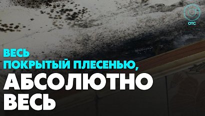 С протекающей крышей и плесенью не могут справиться сибиряки