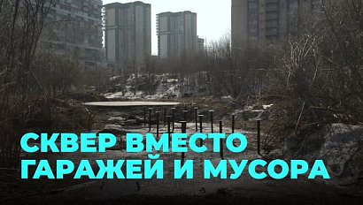 Сибиряки выбирают: как будут выглядеть парки региона