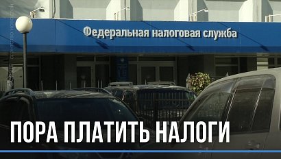 И бумажные, и электронные: налоговики готовят к отправке более миллиона уведомлений