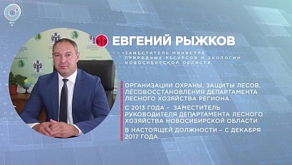 Отдельная тема: Всероссийская акция "Живи, лес!"