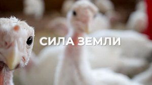 Программа "СИЛА ЗЕМЛИ" | 08 сентября 2023 | Телеканал ОТС