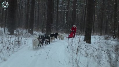 НОВОСТИ 20-30: 25 декабря 2017