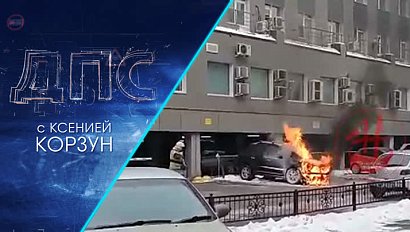 Программа "ДПС: Дорога. Перекресток. Судьба" | 09 ноября 2023 | Телеканал ОТС