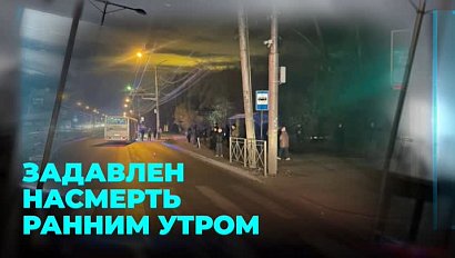 Водитель автобуса не заметил пешехода на дороге