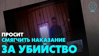 Водитель, сбивший насмерть журналиста, просит смягчить наказание