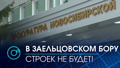 Закон о запрете строительства в Заельцовском бору обсуждают в Заксобрании НСО | Телеканал ОТС