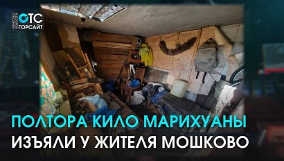 Новосибирские полицейские нашли у жителя Мошково полтора кило марихуаны