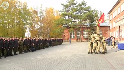 Всероссийская открытая тренировка по самбо прошла в Новосибирской области