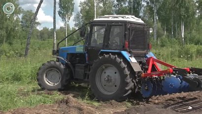 Огонь не пройдёт! Кто защищает сибирские леса от пожаров и сколько деревьев приходится высаживать ежегодно?