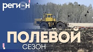 Регион LIFE | Полевой сезон | ОТС LIVE — прямая трансляция