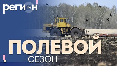 Регион LIFE | Полевой сезон | ОТС LIVE — прямая трансляция