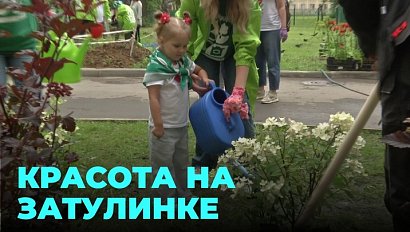 «Зелёная дружина» от СГК высадила деревья на Затулинке