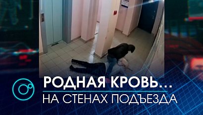 Брат до полусмерти избил сестру: видео с камер наблюдения | Телеканал ОТС