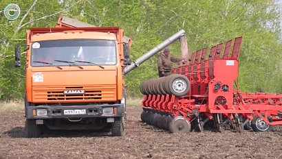 Первую четверть яровых от всего плана засеяли новосибирские аграрии