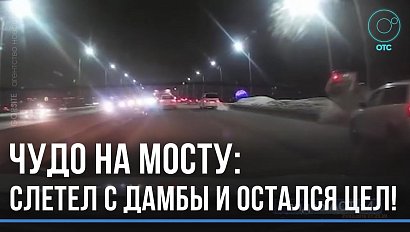 Вылетел с моста и остался цел и невредим