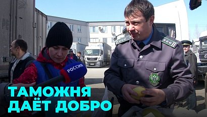 Таможня даёт добро: как проверяют ввозимые из-за рубежа продукты