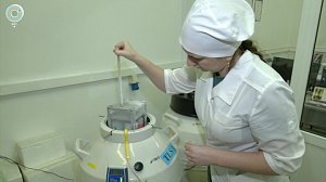 Учёные СО РАН добились уникального результата в репродуктивных технологиях