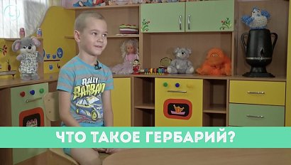 Рубрика "Вам слово": что такое гербарий?