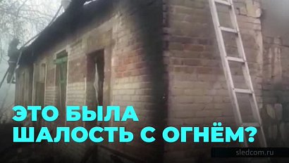 Двое детей погибли в огне в Новосибирской области