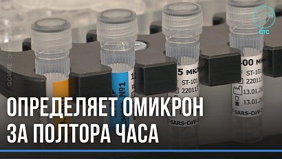 Уникальный тест, определяющий омикрон-штамм создали новосибирские учёные