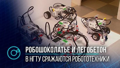 Робошоколатье и танк, стреляющий резинками: в Новосибирске прошли соревнования робототехников