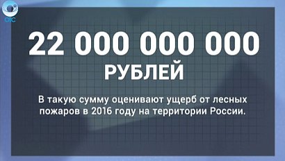 ДЕЛОВЫЕ НОВОСТИ: 20 июля 2016