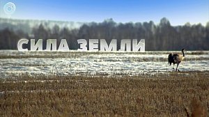 Программа "СИЛА ЗЕМЛИ" | 16 апреля 2021 | Телеканал ОТС