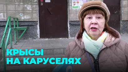 Крысы на каруселях: как двор многоэтажки превращается в свалку