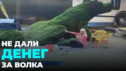 Жительница Новосибирска сделала скульптуру для парка, но осталась без оплаты