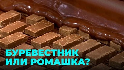 В Китае будут есть новосибирские конфеты: ведутся переговоры по поставкам за границу