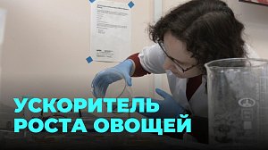 Уникальная разработка учёных позволит значительно ускорить рост овощей и повысить урожайность