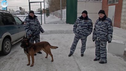 Программа "Итоги недели": 11 февраля 2017