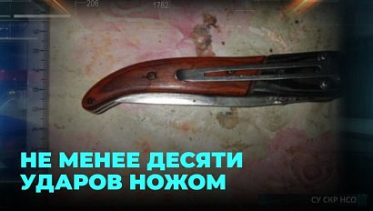 За убийство матери в колонию отправили 50-летнего новосибирца