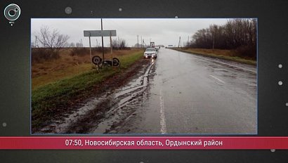 Программа "ДПС: Дорога. Перекресток. Судьба": 23 октября 2018