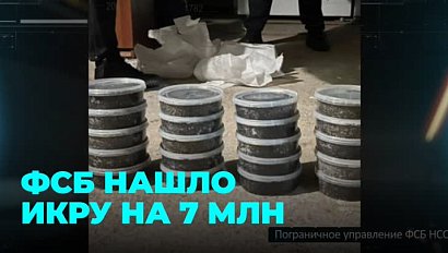 ФСБ нашло чёрную икру на 7 млн в обычном гараже Новосибирска