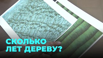 Мёд из алкоголя и парящий корабль: как пройдет "Ночь музеев" в Новосибирске