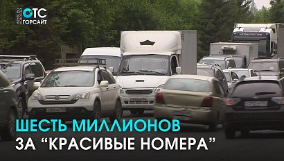 6 миллионов за “красивый” номер: самые дорогие расценки на Госуслугах