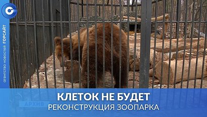 Бассейн для косолапых и экотропы – грандиозные планы реконструкции зоопарка