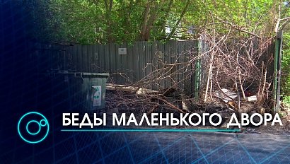 Кто должен вывозить ветки со двора? Управляющая компания VS мэрия Новосибирска