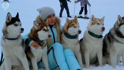 НОВОСТИ 20-30: 29 декабря 2017