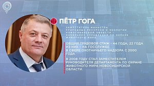 Отдельная тема: охота в Новосибирской области