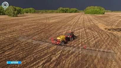 Долю российских семян увеличивают в Новосибирской области